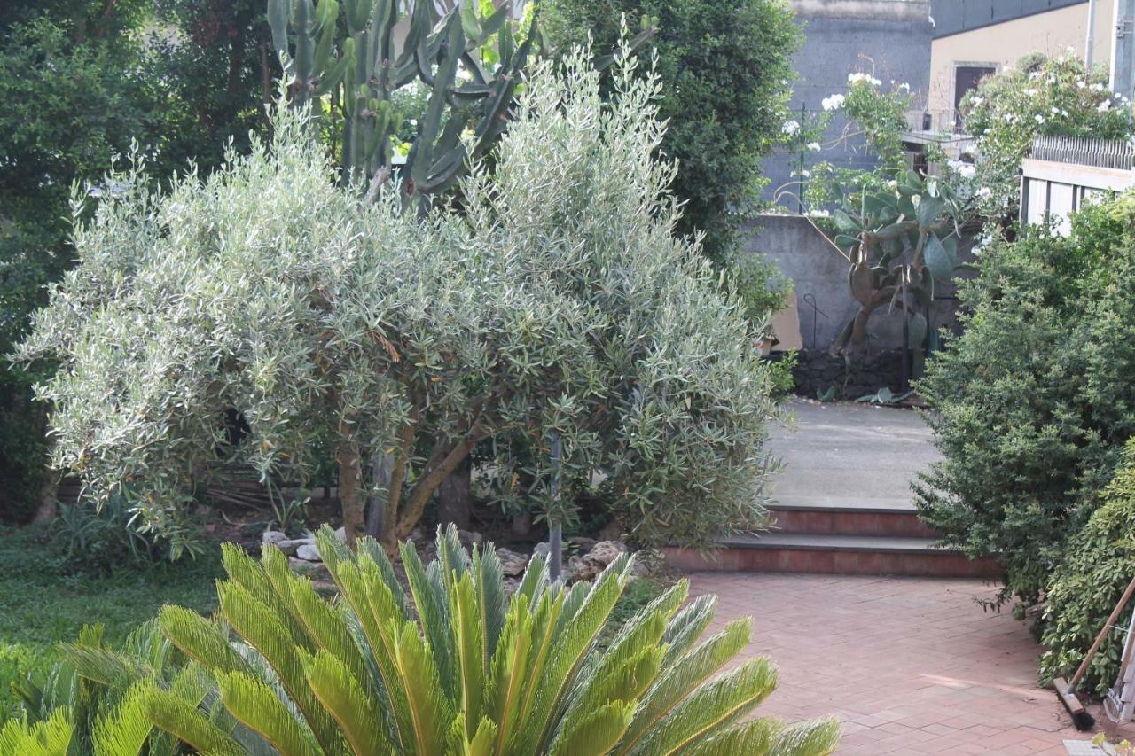 Bouganville Catania Esterno foto
